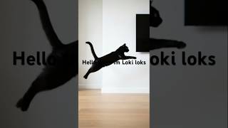 A Cat Called Loki Jumping