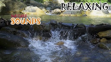 Nhạc thư giãn cùng tiếng suối chảy và tiếng chim hót cực hay | Nhạc Thư Giãn