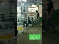 ノーベルブライト 名古屋路上ライブ 3年前の貴重な路上ライブMC動画