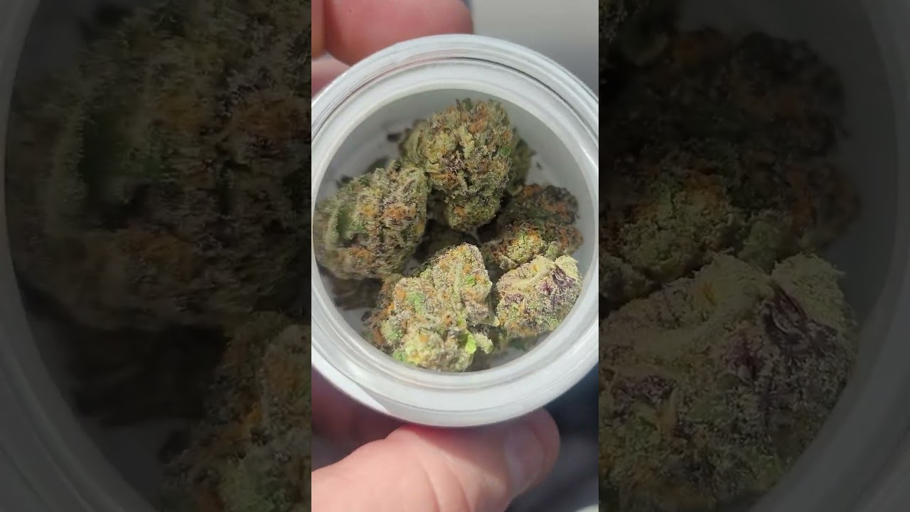 ⛽️⛽️⛽️DOJA RARE MAGIC MARKER STRAIN 😈🍪✅️👍⛽️⛽️⛽️