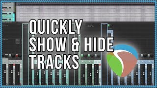 Quickly Show & Hide Tracks in REAPER | Track Manager and SWS Actions