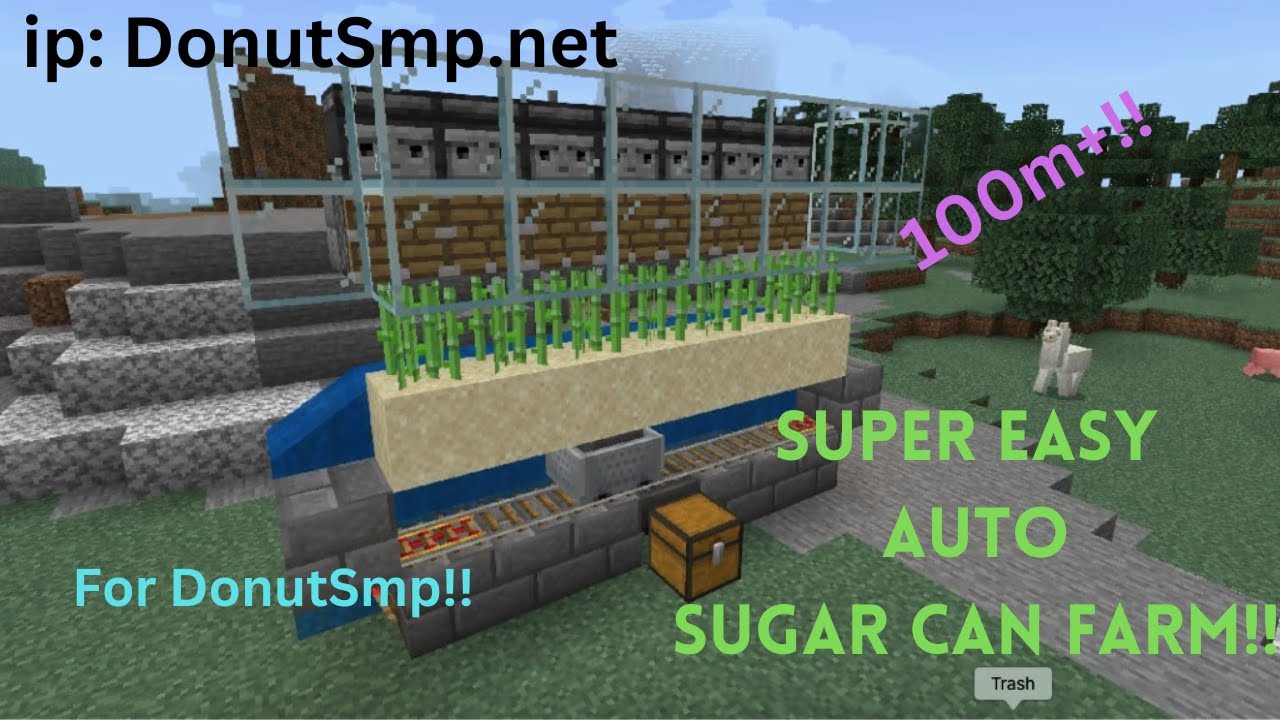 how to make the best auto sugar cane farm for DonutSmp.net!! - YouTube