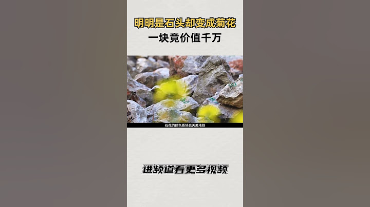 明明是石头却变成了菊花，一块竟价值千万#知识 #趣闻 #历史