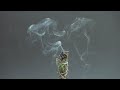🌙 Ambient 528Hz Meditation #43 • Mindfulness & Inner Balance 🌟 #ce8d6939
