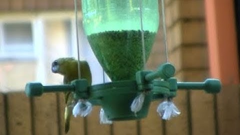 Live 3D Printed Birdfeeder Cam Episode 1 - Setup