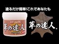 【塗るだけ簡単！ツヤツヤの革に！！】革の達人 #レザー #革靴 #撥水 ＃保護 #レザーワックス