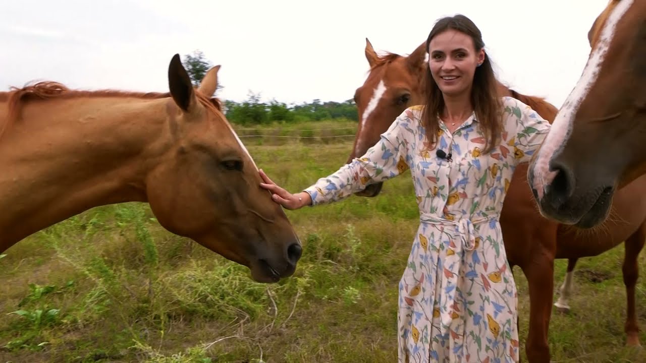 Точка на карте 15.08.2021 - Лошадиная ферма