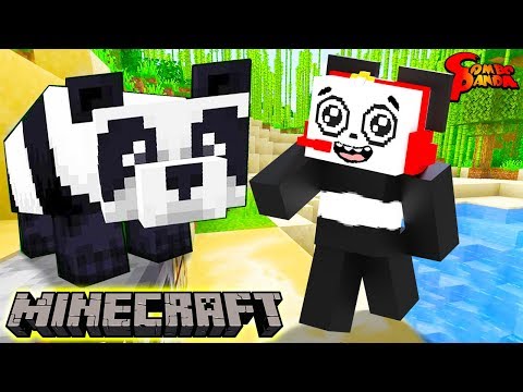 Things You Didn't Know About Pandas! Let's Play Minecraft Feeding A Panda Cake with Combo Panda