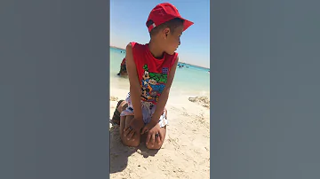 مهرجان بتلع من بيتي على الفجريه وبخش ثاني على ثمانيه 