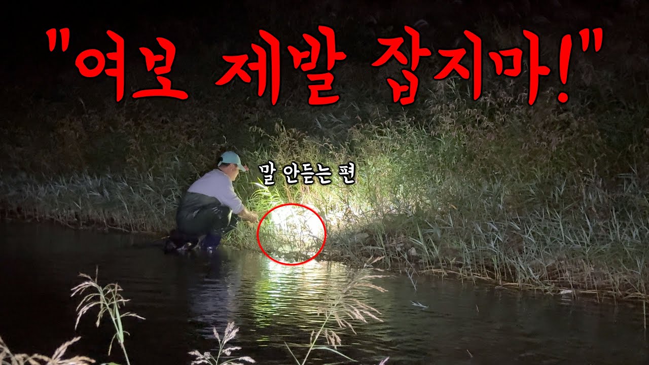 이제 별걸 다 잡습니다ㅋㅋ 오늘이 마지막! 낮부터 밤까지 빡씨게 잡아봤습니다!