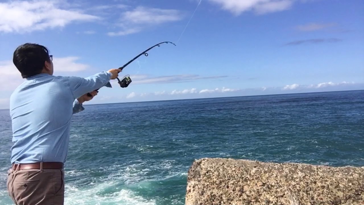 sea fishing trips newcastle