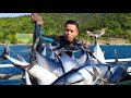 Harvest na man tulingan  spearfishing spearfishingphilippines palawan fishing