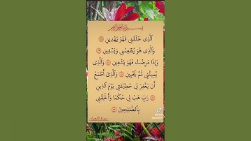 #سورة الشعراء #القرآن_الكريم #راحة_نفسية