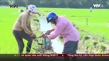 LOẠN THỊ TRƯỜNG THUỐC BẢO VỆ THỰC VẬT