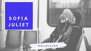 Download Lagu Hallelujah (Audio) - Jeff Buckley | SOFIA JULIET COVER MP3