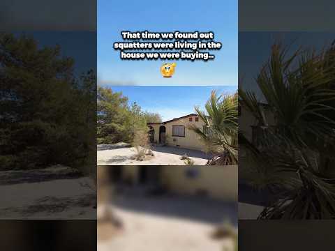 Thumbnail for The Real Estate Robinsons