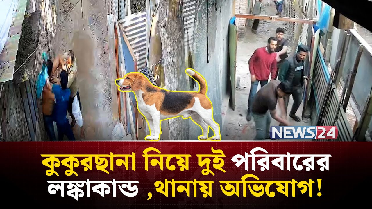 প্রতিবেশীর বাড়িতে কুকুরছানা যাওয়াকে কেন্দ্র করে হুলুস্থুল কান্ড | NEWS24 Special