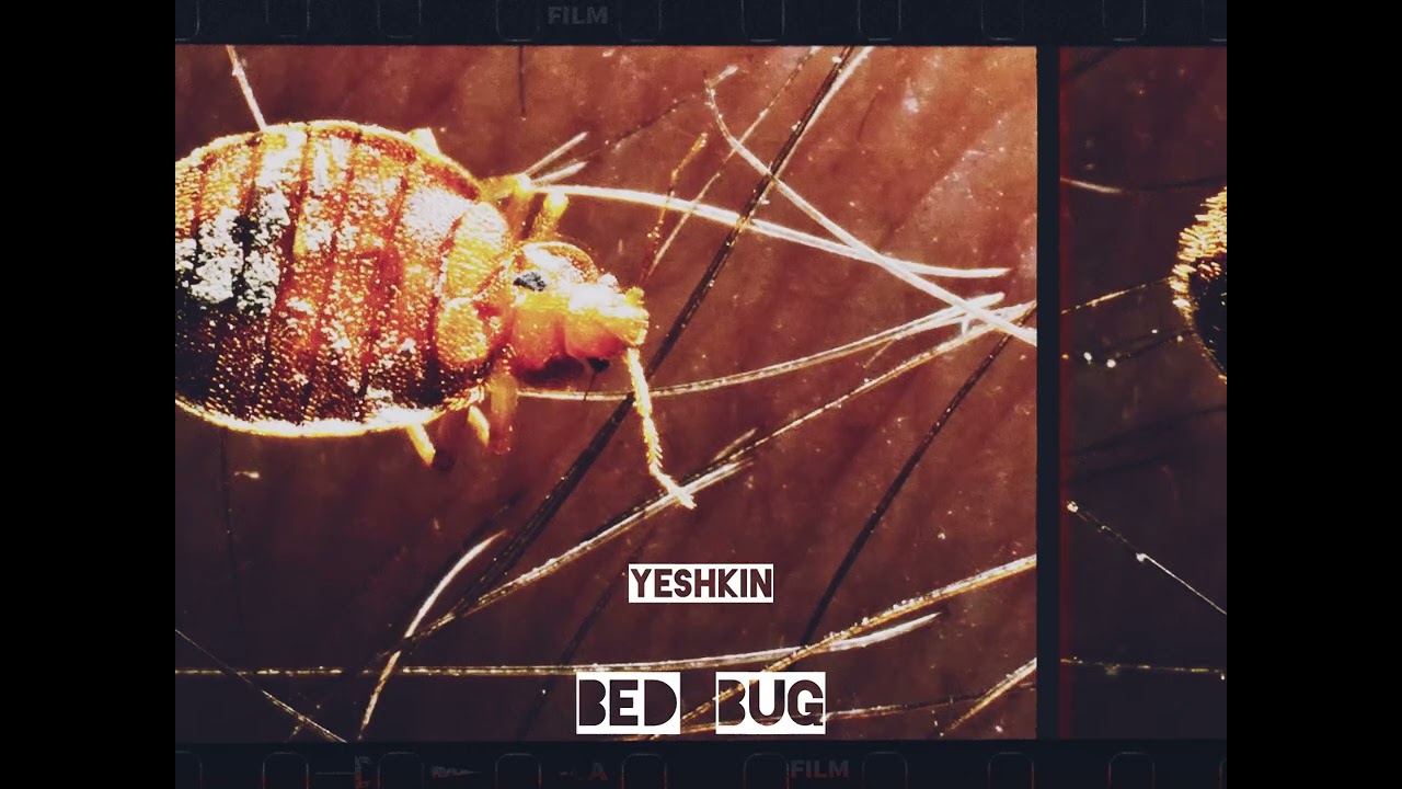 Yeshkin - BedBug (Official Audio)