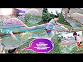 Cara membuat gelembung sabun raksasa | DIY Giant Bubble