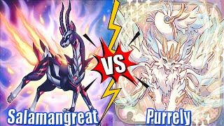 Salamangreat vs Purrely  - High Rated DB Yu-Gi-Oh! | Dueling Book
