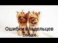 Ошибки владельцев собак