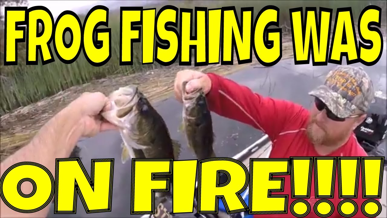OTAY LAKES FROG FISHING!!! Topwater Blowups!! - YouTube