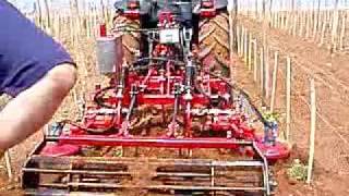 Landini Nobili David - Обработка На Лозе.flv