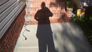 I Mowed, I Cut Back The Purple Smoke Tree & I Am Done