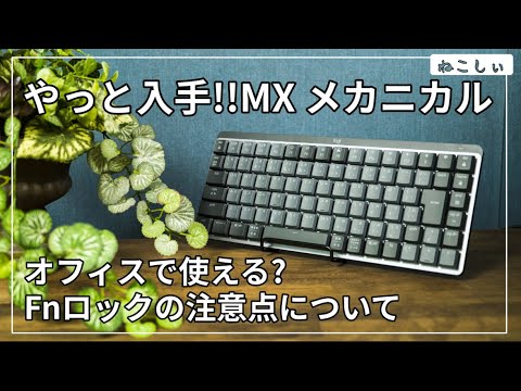 [レビュー Logicool MX メカニカルMini 茶軸] MX Keys  MiniとG915(913)TKLと打鍵音比較。オフィスで使えるのか?ファンクションロックの注意点[ねこしぃの周辺機器]