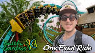 Taking One Final Roar on KUMBA | Everything NEW at Busch Gardens Tampa Bay!