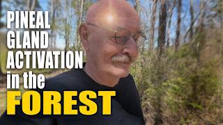 Pineal Gland Activation in the Forest | Natural Awakening Practice