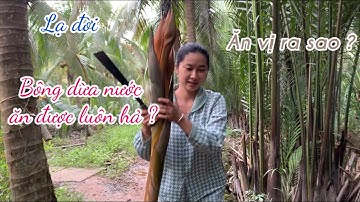 Độc Lạ Ăn Bông Dừa Nước Chấm Muối Ớt ,Dai Giòn Như Thịt Gà - Em Gái Quê