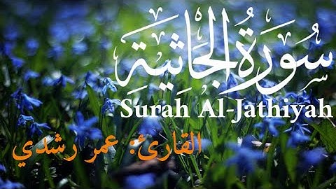 سورة الجاثيه  | تلاوه هادئه - عمر رشدي  omar rushdy