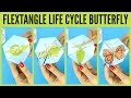 Butterfly life cycle paper toy template  flextangle printable