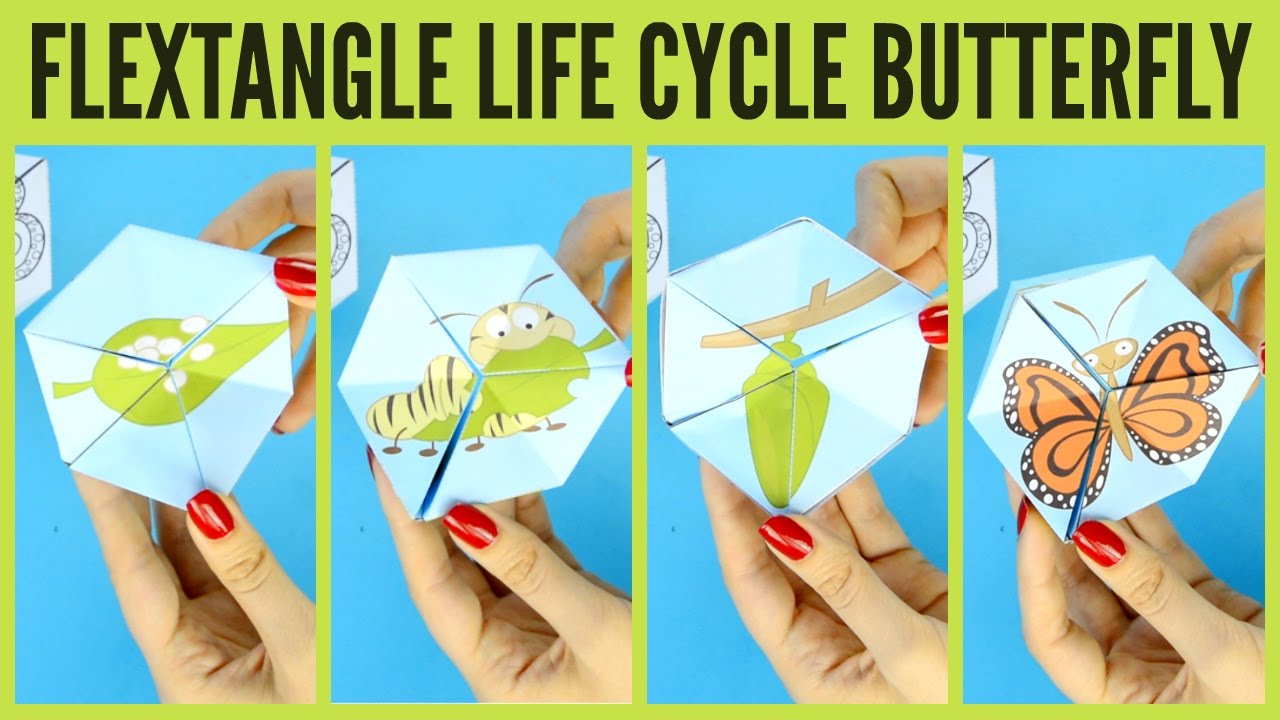 3d-life-cycle-of-a-butterfly-craft-free-goimages-county