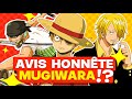 Mon avis honnete sur les mugiwara dans one piece  afro roshi