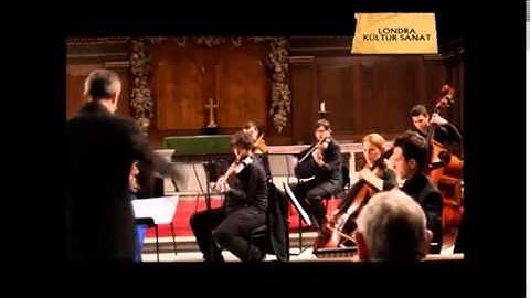 Edward Elgar: Serenade for Strings in E minor, Op. 20 III. Allegretto