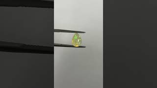 IMG 0049