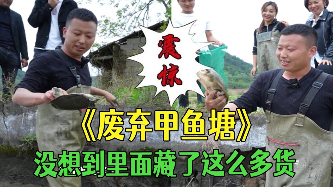 600塊拿下壹個廢棄的老甲魚塘，沒想到裏面藏了這麽多貨，這錢花得值 #抓魚 #戶外 #三農 #農村生活 #我要上熱門#包塘 #小飛哥