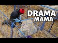 A little DRAMA with these MAMAS.  Vlog 400