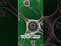 Why Your Eye Won’t Stop Twitching (And What It Means)#Wellness #BodySignals