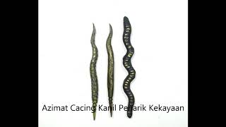 Azimat Cacing Kanil Penarik Kekayaan