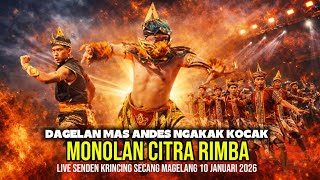 SOLAH LUCU MAS ANDES SEKETIKA JADI SANGAR‼️ MONOLAN CITRA RIMBA LIVE SENDEN KRINCING SECANG