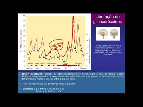 Qué debería haberles preguntado a sus profesores sobre esteroides para ganar peso