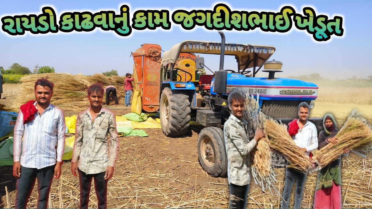દેરાળા ગામ રાયડો કાઢવાનું કામ 😂l જય જવાન જય કિસાન l #faramig