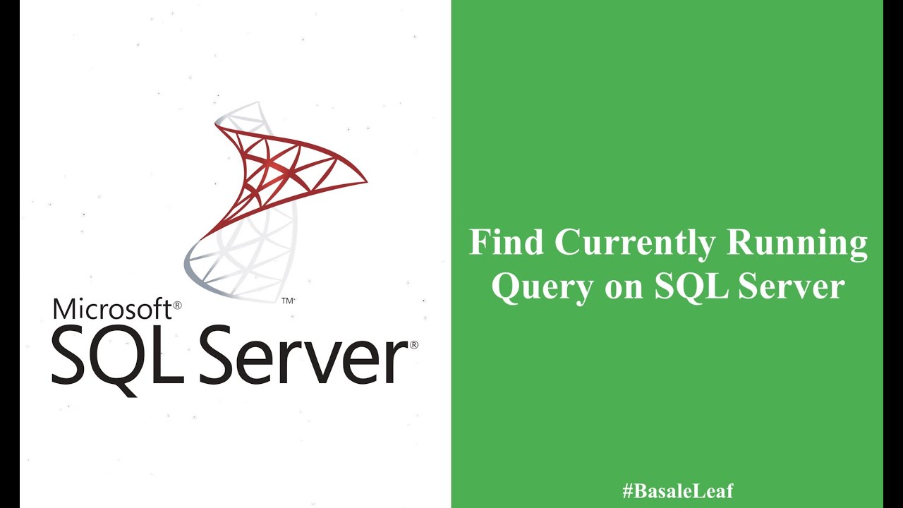 Find Currently Running Query on SQL Server - YouTube
