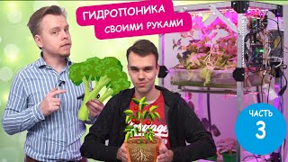 Гидропоника 3 часть! Автоматизация своими руками