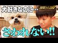 【葛藤】大好きなのに・・・飼い犬を触れない小学5年生