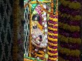 Jay Jay shree  Radhe🙏❣️#yashomatimaiyasebolenandlala #radhakrishnalove #trendingshorts #love