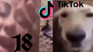 Рандомные клипы из тиктака. Часть 18